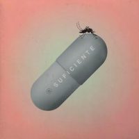 babasonicos suficiente